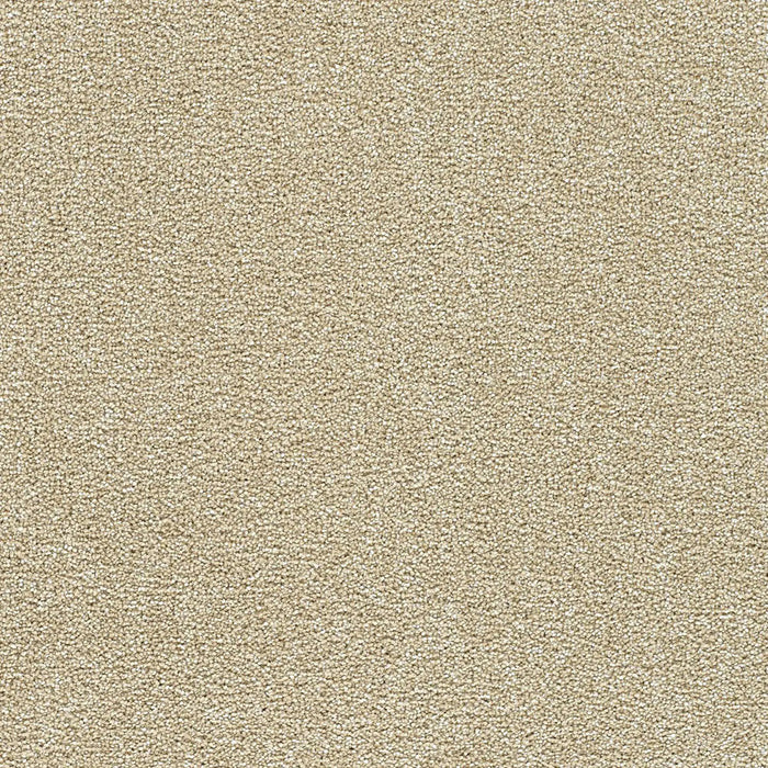 Polar 40oz Cut Pile Carpet Flooring 1