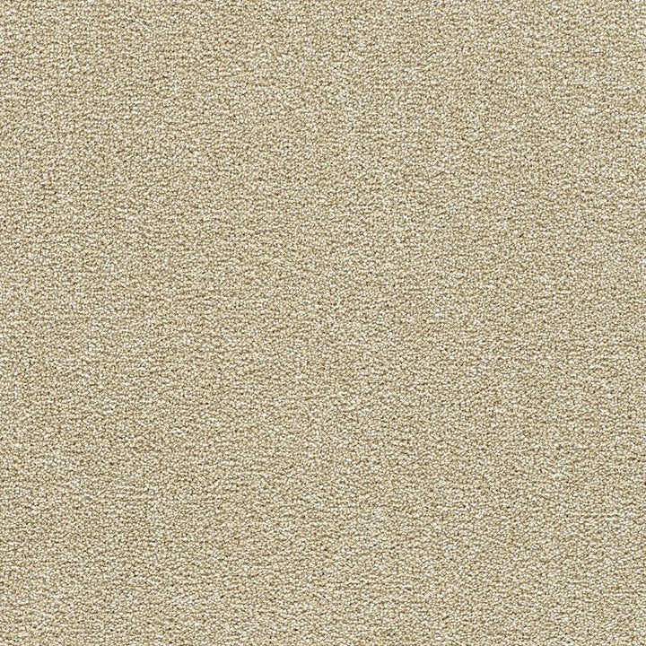 Polar 40oz Cut Pile Carpet Flooring — Ice