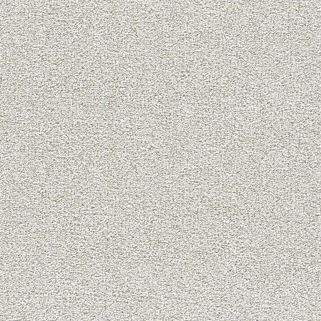 Polar 40oz Plush Textured Cut Pile Polyester Carpet – Stain Resistant in Snow