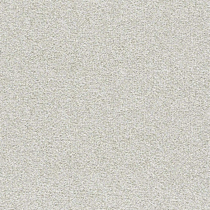Polar 40oz Cut Pile Carpet Flooring 1