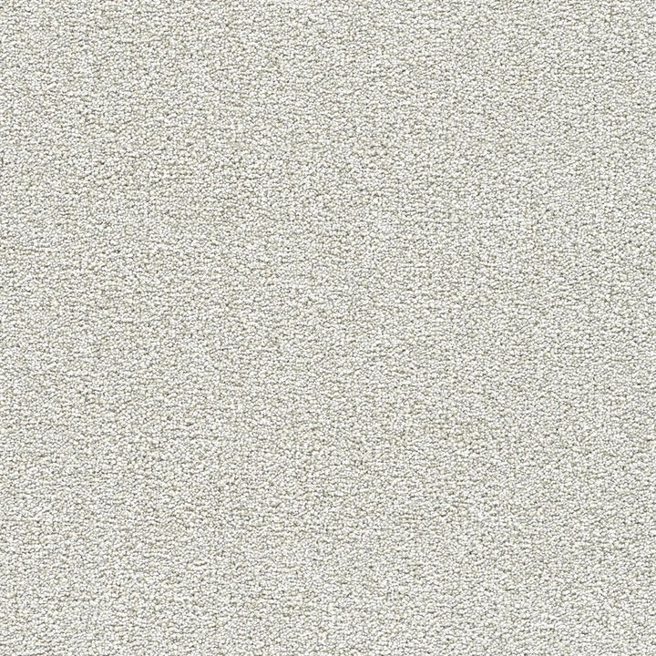 Polar 40oz Cut Pile Carpet Flooring — Snow