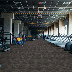 Carpet Tiles - 24" x 24" - The Lynx Collection