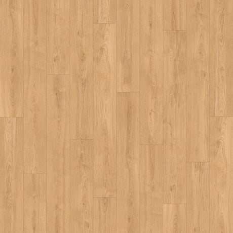 Bay of Fundy Tides PVC Free Flooring in Cliffbend