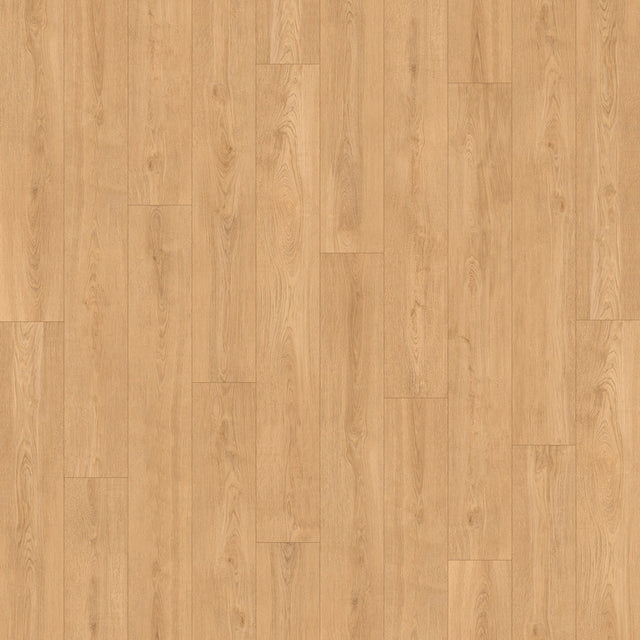 Bay of Fundy Tides PVC Free Flooring in Cliffbend