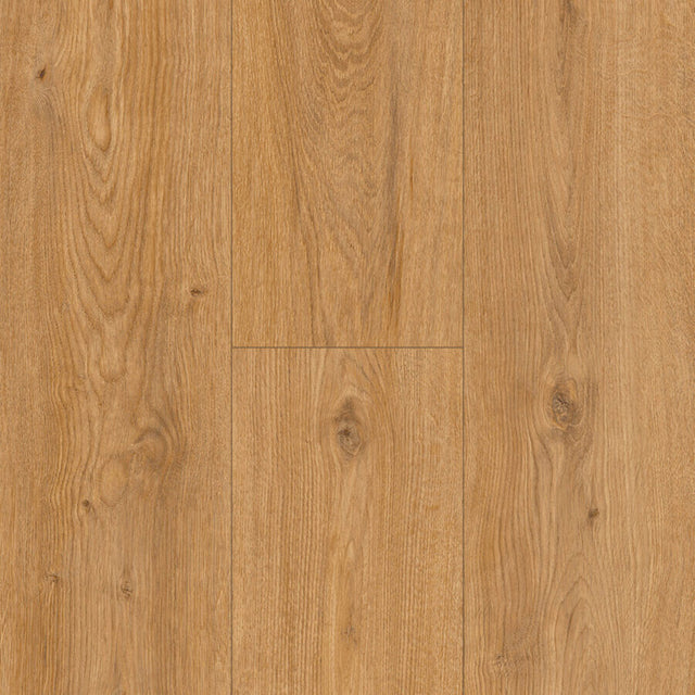 Jasper Ridge Laminate Flooring in Echo Valley