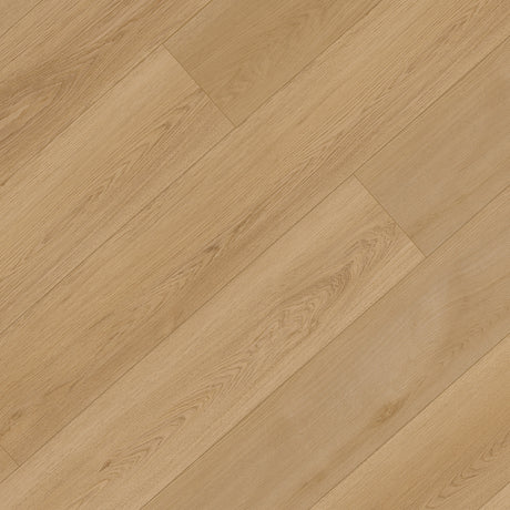 XL Broadview Collection SPC Vinyl Plank in Iona