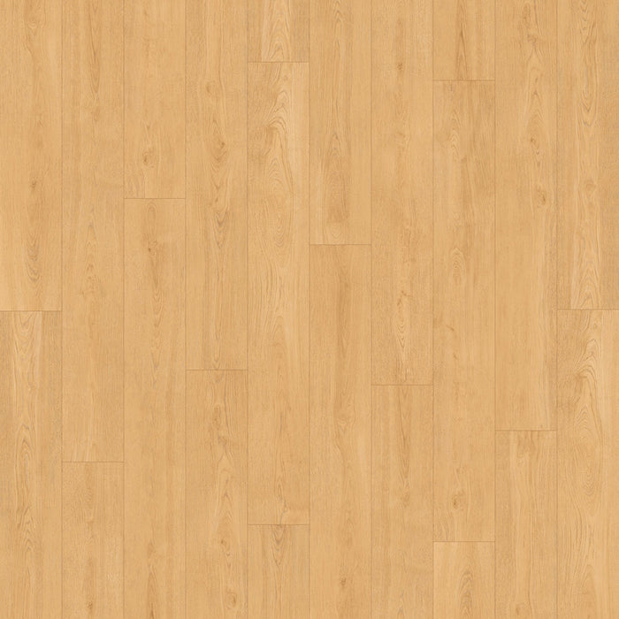 Bay of Fundy Tides Vinyl Flooring 4