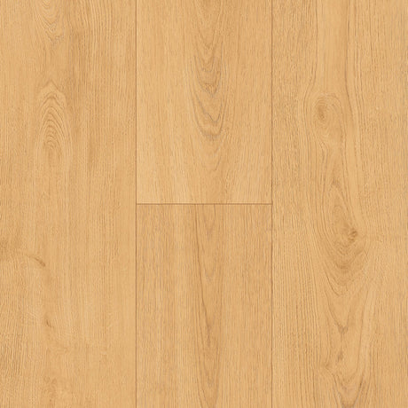 Bay of Fundy Tides PVC Free Flooring in Salt Drift