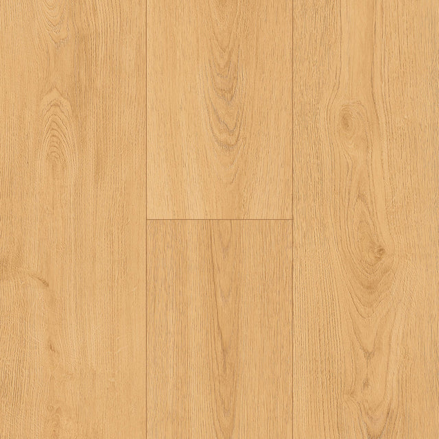 Bay of Fundy Tides PVC Free Flooring in Salt Drift
