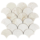 Shellstone - Mesh Mosaic Tile Collection