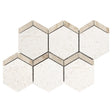 Shell stone limestone mosaic naples npl 1320 on 12x12 mesh honed sku hsssnapdmosh 2