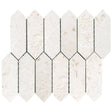 Shell stone limestone mosaic strada on 12x12 mesh honed top view2