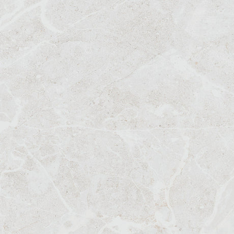 Belvedere White Matte 12x24 Porcelain Tile
