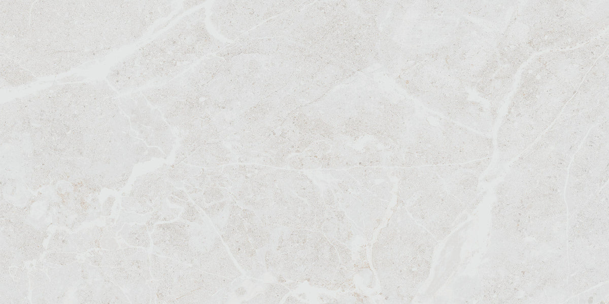 Belvedere White Matte 12x24 Porcelain Tile