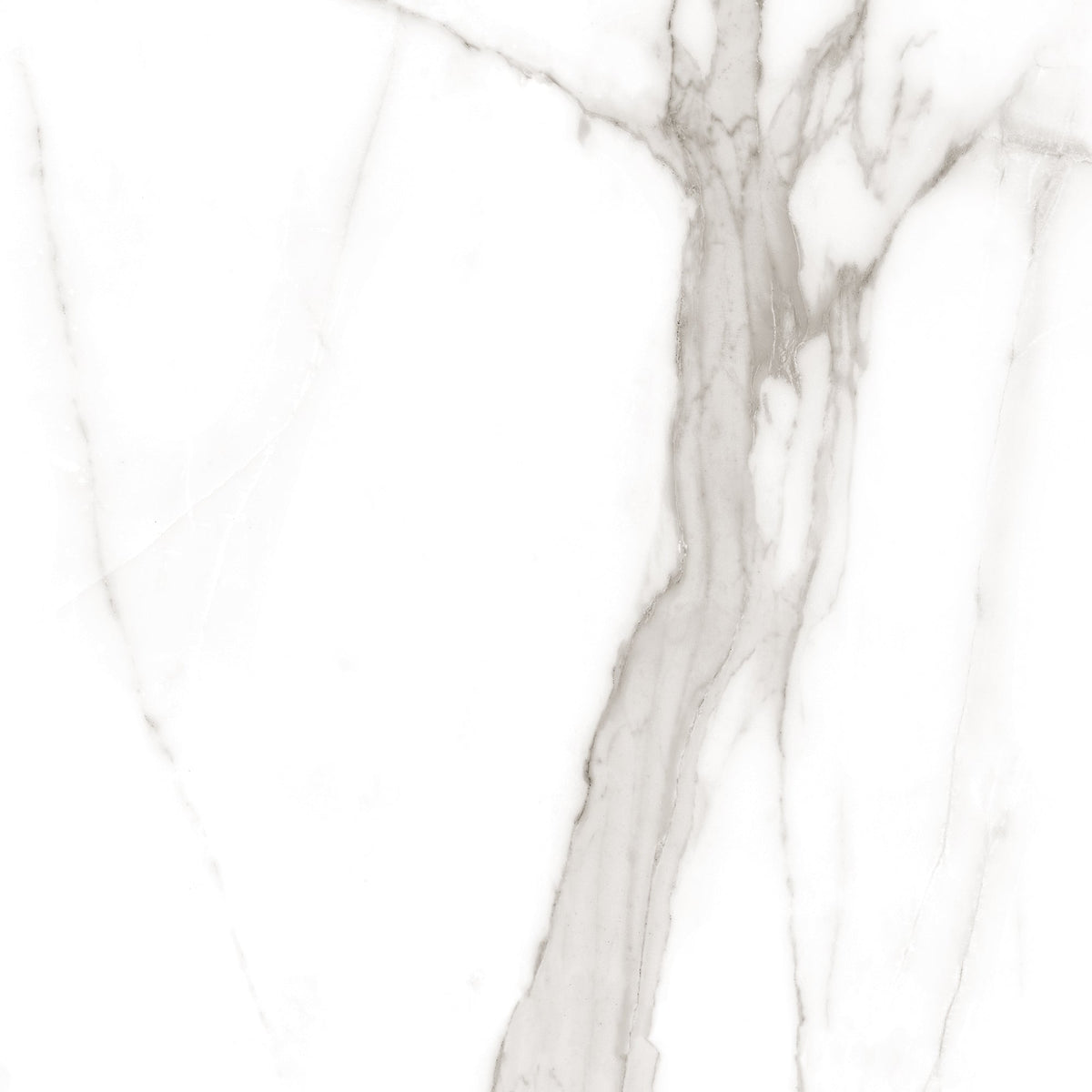 Calacatta Tranco 32x32 Polished Marble Look Porcelain Tile
