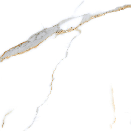 Calacatta Gold 24x48 polished marble look porcelain tile shown face on