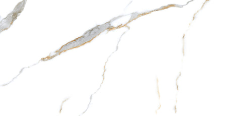 Calacatta Gold 24x48 Polished Marble Look Porcelain Tile