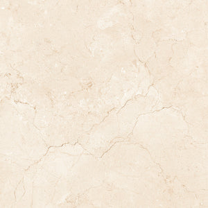 Marfil Crema 24x24 Polished Marble Look Porcelain Tile