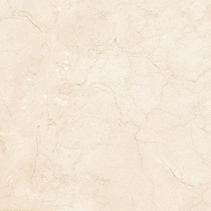 Marfil Crema 24x24 Polished Marble Look Porcelain Tile 1