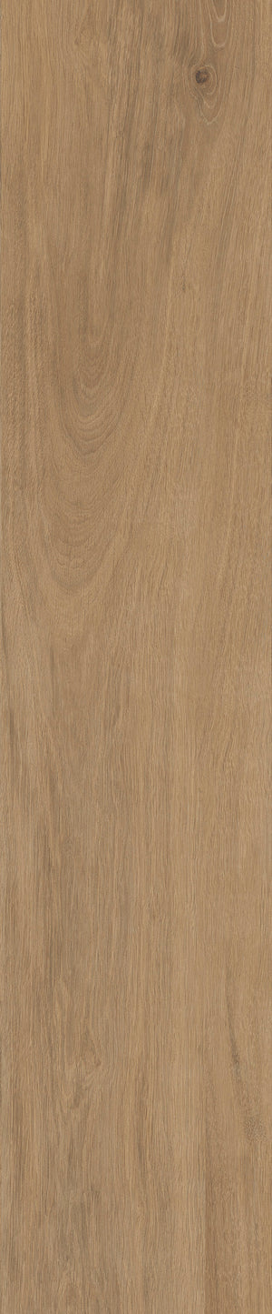 Wood Look Porcelain Plank Tile