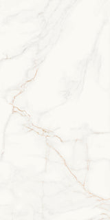 Marble Look Porcelain wall and floor Tile