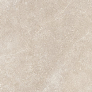 Matte Porcelain Wall Tile