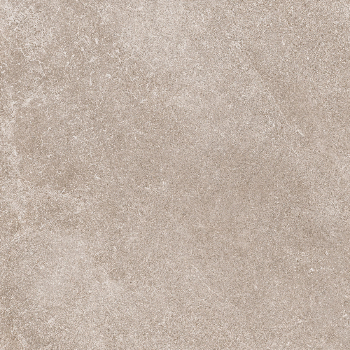 Natural Look Porcelain Tile