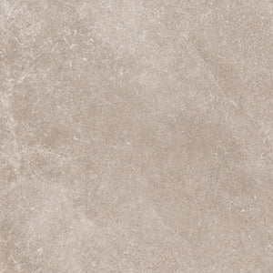 Natural Look Porcelain Tile