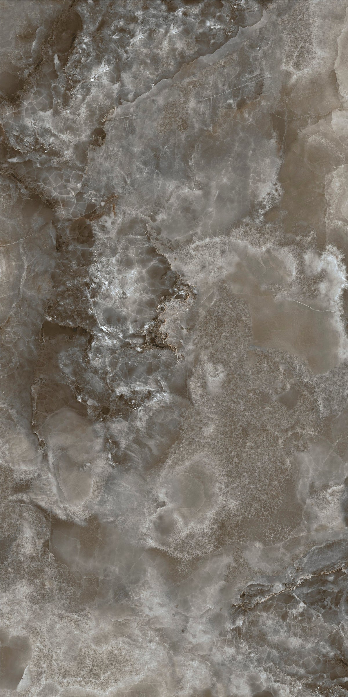 Scarlet Black 24x48 Polished Porcelain Tile