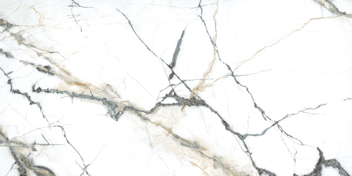 Pietra Marme de Milano 24x48 Marble Look Porcelain Tile 3