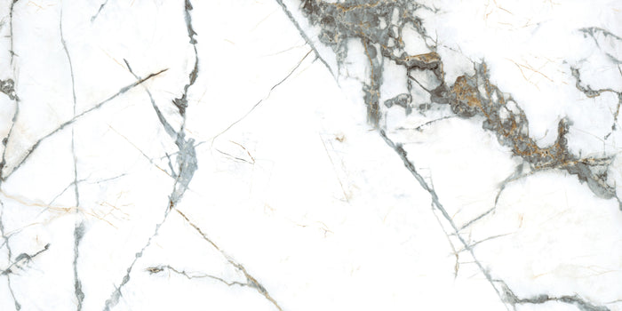 Pietra Marme de Milano 24x48 Marble Look Porcelain Tile 4