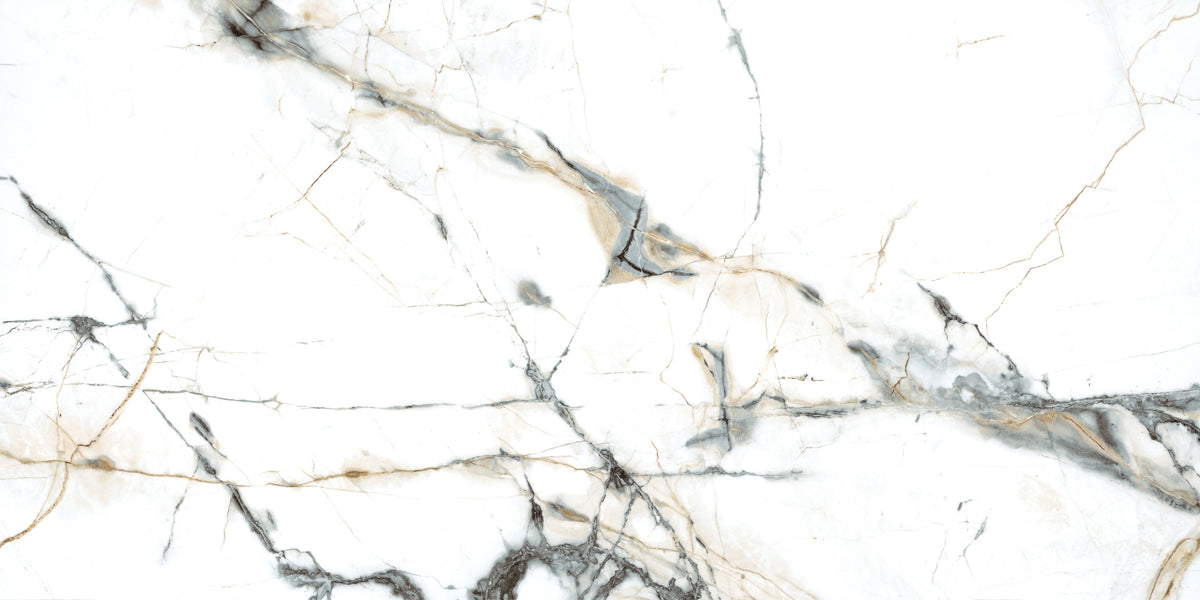 Pietra Marme de Milano 24x48 matte marble look porcelain tile, alternate face showing natural shade variation