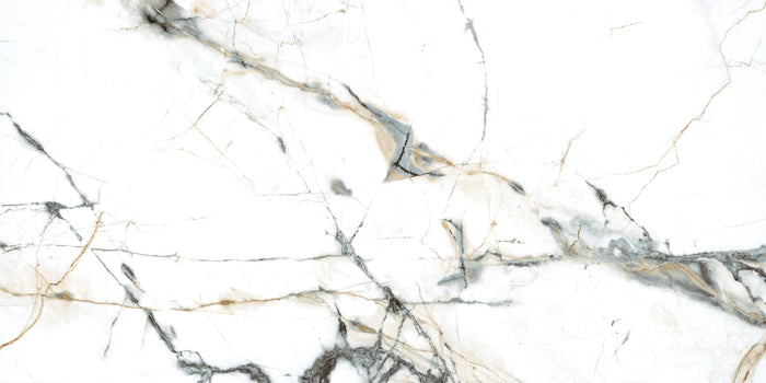Pietra Marme de Milano 24x48 Marble Look Porcelain Tile 5