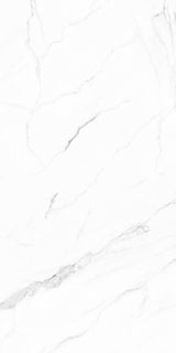 Olimpo 24x48 Polished Marble Look Porcelain Tile