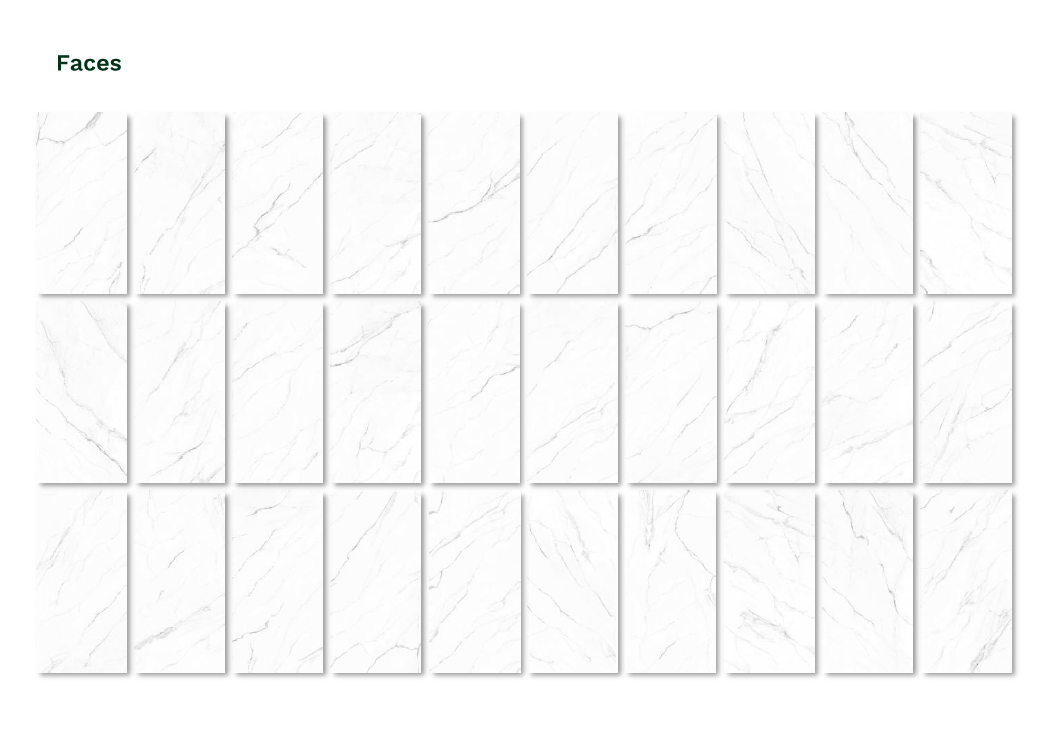 Olimpo 24x48 Polished Marble Look Porcelain Tile