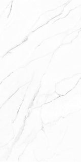 Olimpo 24x48 Polished Marble Look Porcelain Tile
