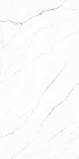 Olimpo 24x48 Polished Marble Look Porcelain Tile