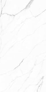 Olimpo 24x48 Polished Marble Look Porcelain Tile