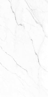 Olimpo 24x48 Polished Marble Look Porcelain Tile