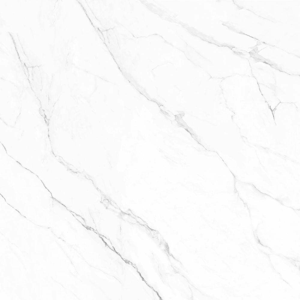 Olimpo 48x48 Polished Marble Look Porcelain Tile