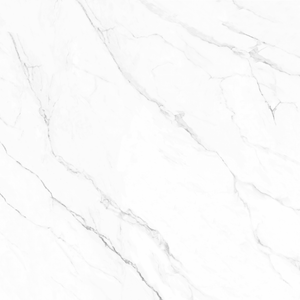 Olimpo 48x48 Polished Marble Look Porcelain Tile