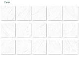 Olimpo 48x48 Polished Marble Look Porcelain Tile