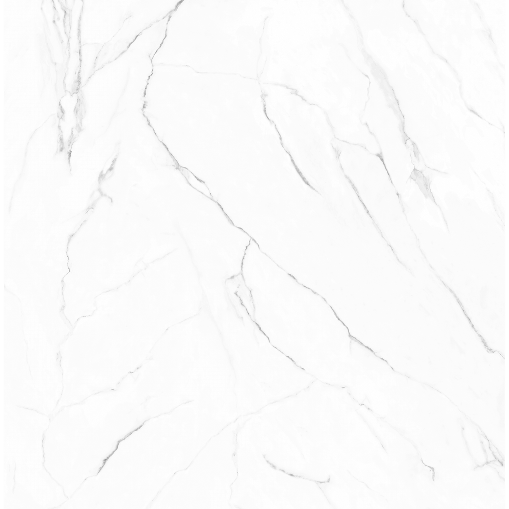 Olimpo 48x48 Polished Marble Look Porcelain Tile
