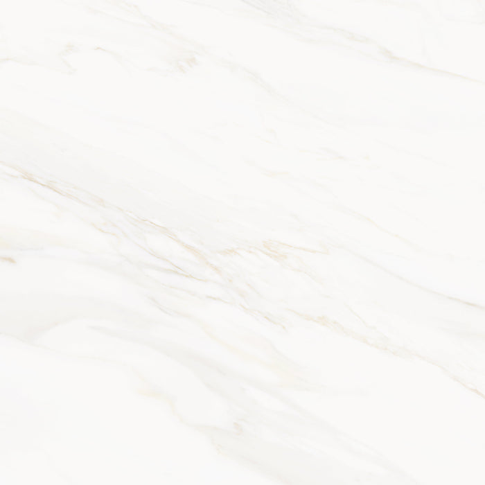Venus Alpe AC 24x24 Textured Marble Look Porcelain Tile 4