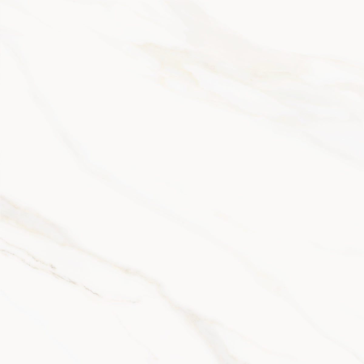 Venus Alpe AC 24x24 Textured Marble Look Porcelain Tile