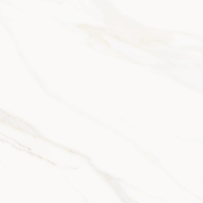 Venus Alpe AC 24x24 Textured Marble Look Porcelain Tile 5