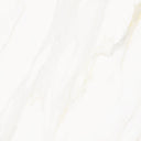 Venus Alpe AC 24x24 Textured Marble Look Porcelain Tile