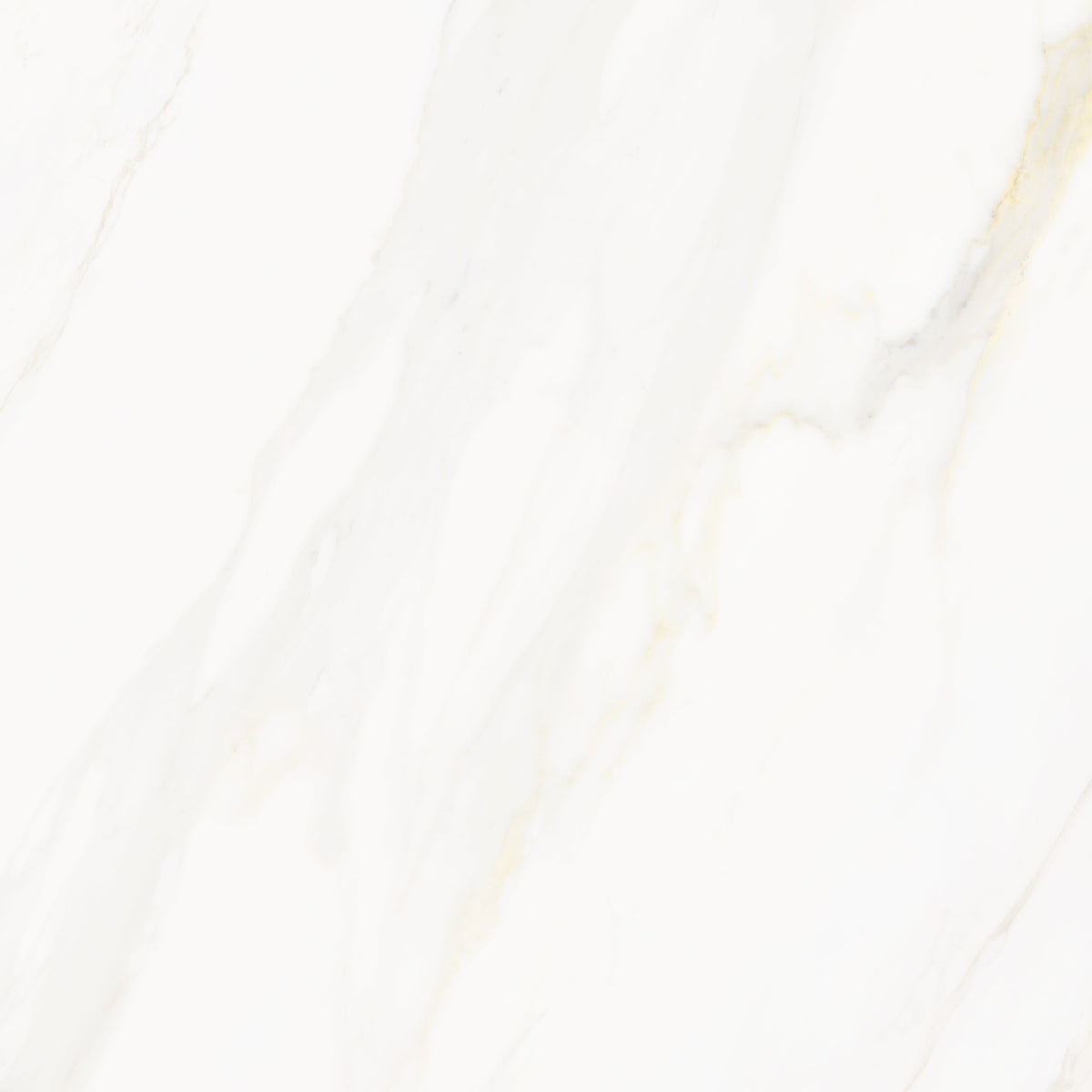 Venus Alpe AC 24x24 Textured Marble Look Porcelain Tile
