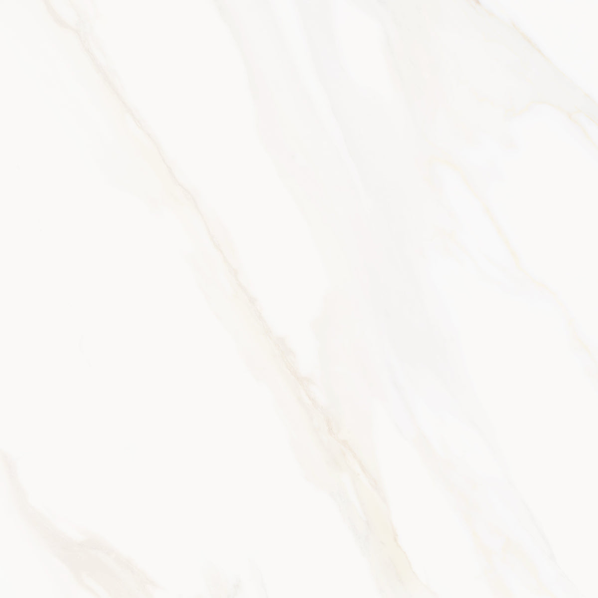 Venus Alpe AC 24x24 Textured Marble Look Porcelain Tile