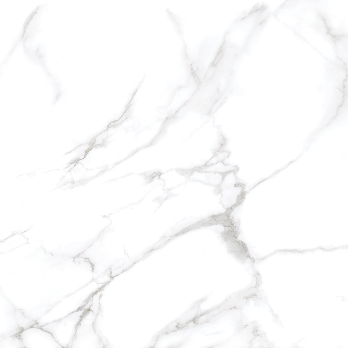 Silver Moon 24x24 Polished Marble Look Porcelain Tile